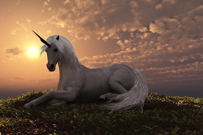 Unicorn with the sun behind it